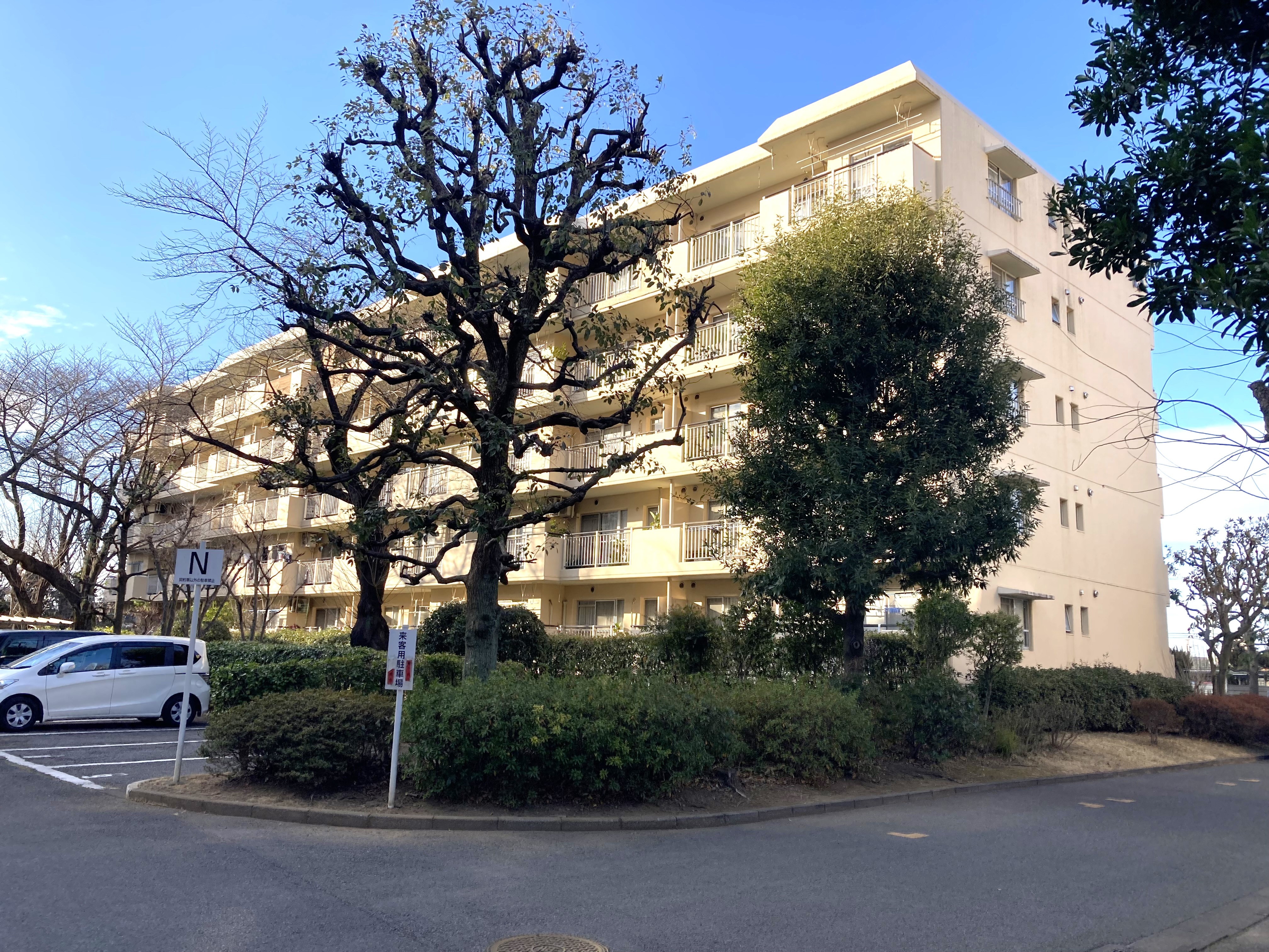 パークタウン若宮　13号棟[2]